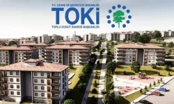 Sahte 'TOKİ' sitesi kurarak çok sayıda kişiyi 9 milyon dolandırmışlar