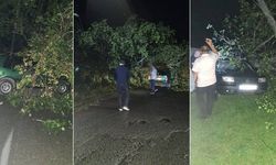 Şiddetli fırtına: ağaçlar Otomobillerin üzerine devrildi