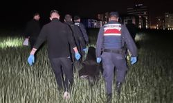 Tarım arazisinde erkek ces*di bulundu