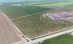 Tarım İşçilerinin Yevmiyelerine Zam Yapıldı