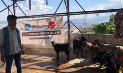 Ülkü Ocakları Kahramanmaraş'ta kurban dağıttı
