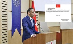 Yeni TÜİK Başkanı Kim Oldu, Türkiye İstatistik Kurumu Başkanı Mehmet Arabacı Kimdir?
