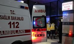 2 yaşındaki kızı havuzda can verdi, baba panikle eşini ezdi