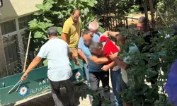 41 Yaşındaki Adam Evinin Bahçesinde Ölü Bulundu