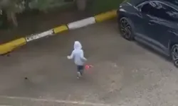 5 Yaşındaki Çocuğun Türk Bayrağına Saygısı Gönülleri Fethetti