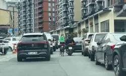 Motosiklete bağladığı köpeği metrelerce koşturdu: Cezası kesildi