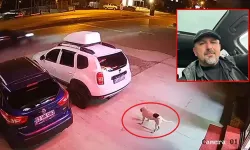 Köpeğe çarpmamak için manevra yaptı, takla atan ATV'de öldü