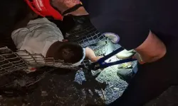 Alkollü çıktığı tel örgü devrilince bileği sıkıştı