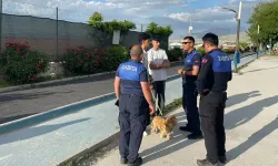 7 mahallede 'kuduz' alarmı; karantina uygulaması başlatıldı