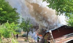 Adana'da yayla evinde çıkan yangın ormana sıçradı