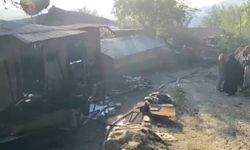 Adana'nın Kozan ilçesinde orman yangını kontrol altına alındı
