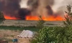Arazi yangını: 1’i ağır 3 yaralı, 200 dönüm ekili alan küle döndü