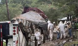 Arı Yüklü TIR Devrildi: Milyonlarca Bal Arısı Çevreye Dağıldı
