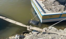 Asi Nehri'nde erkek cansız bedeni bulundu