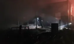 At çiftliğinde yangın: 3 at öldü