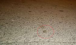 Silahlı kavga: Tartışma kanlı bitti