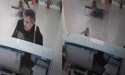 Bankada işlem yaparken üzerine kedi düştü; o anlar kamerada