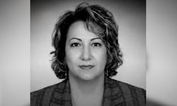 Çevre Mühendisi Ferhan Kaşıkçı Kimdir, Neden Öldü, Ölüm Nedeni Nedir?