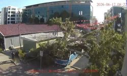Çınar ağacı, halk otobüsünün üzerine düştü: O anlar kamerada