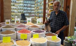 Dede mesleğini 3 bin dönüm arazide yaşatıyor! Kahramanmaraş'ta da üretim yapıyor