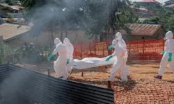 Ebola Salgını Büyüyor: 1155 Vaka, 304 Can Kaybı
