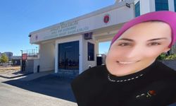 Eşini öldürüp kaçmıştı! Dilan Aslan davasında yeni gelişmeler