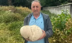 Evinin bahçesinde buldu: Tam 3,5 kilo