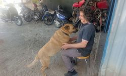 Görme engelli köpeğine 13 yıldır evladı gibi bakıyor