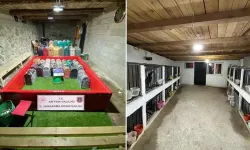 'Horoz dövüşü' operasyonu; 39 kişiye yüz binlerce lira ceza