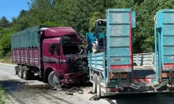 İki kamyonun çarpıştığı kazada sürücüler öldü, 1 yaralı