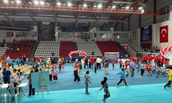 Kahramanmaraş Geleneksel Çocuk Oyunları Projesi Final Yaptı