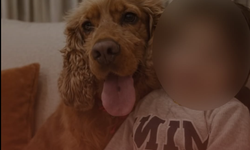 Kahramanmaraş’ta Herkes Bu Köpeği Arıyor! Olay Sonrası Kayboldu