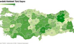 Kahramanmaraş'ta 206 kelebek türü yaşıyor