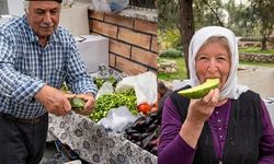 Kahramanmaraş’ta Ata Tohumu Salatalık Şaşırttı: “Biz Ne Yiyoruz?”