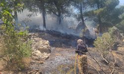 Kahramanmaraş'ta korkutan orman yangını