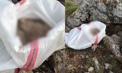 Kahramanmaraş’ta vicdanları sızlatan manzara! Arazide torba içinde ölü bulundu