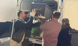 Kene ısırığı sonrası 52 yaşındaki adam hayatını kaybetti