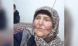 Korkunç olay: Tarlada uyuyan kadın iş makinesinin altında can verdi