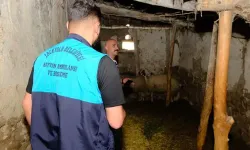 Kuduz vakası sonrası mahalle karantinaya alındı