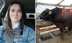 Kurbanlıkta Büyük Pazarlık: 370 Bin TL’lik Hayvanı 210 Bine Aldı