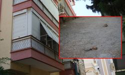 Öğretmen koca 3 çocuk annesi öğretmen eşini ve kayınpederini öld*rdü