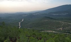 Ormanlara giriş yasağı başladı