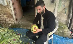 Oturduğu Yerden 8 Asgari Ücret Kazanıyor: Geliri Dudak Uçuklattı