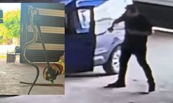 Park Halindeki Araca Yılan Girdi! Sürücü Panikle Kaçtı