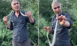 Resmen Ölümle Dans Etti! Zehirli Engerek Yılanını Boynuna Doladı