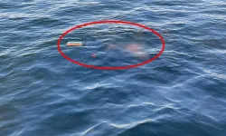 Şnorkel ve Deniz Gözlüğüyle Girdiği Sapanca Gölü’nde Hayatını Kaybetti