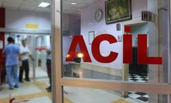 16 yaşındaki çocuk annesini bıçaklayarak öldürd*