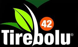 Tirebolu 42 Çay battı mı, Tirebolu 42 Çay neden iflas etti?