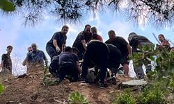 Uçuruma yuvarlanan otomobilden sağ çıktı!