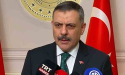 Bakan Çiftçi: Yıl başına kadar tüm sokak köpekleri barınaklarda olacak